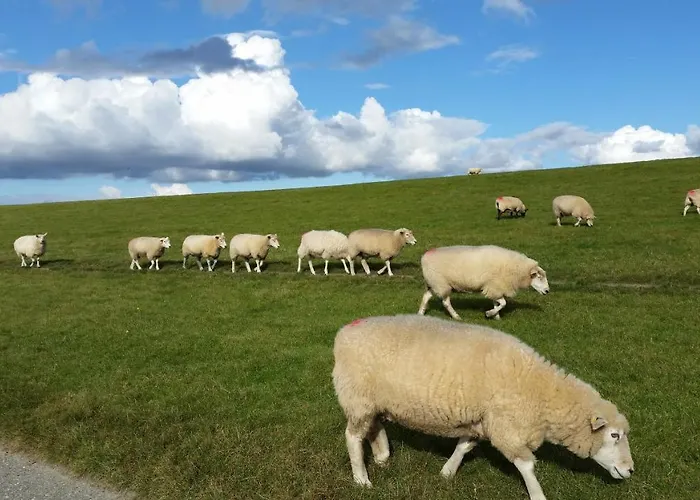 Nordwind 3* Hedwigenkoog